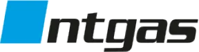 logotipo colaborador partner ntgas